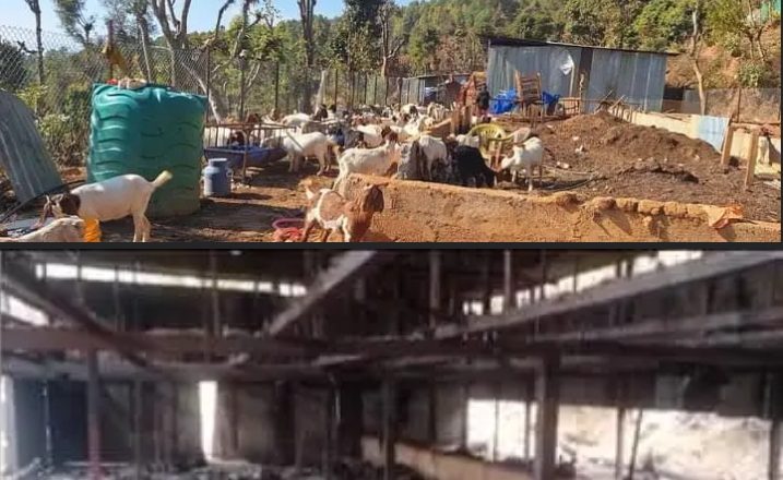 बिष्णु बाख्रा फर्ममा आगलागि हुदाँ १ करोडको क्षेति