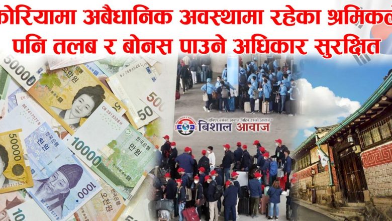 कोरियामा अबैधानिक अवस्थामा रहेका श्रमिकले पनि तलब र बोनस पाउने अधिकार सुरक्षित