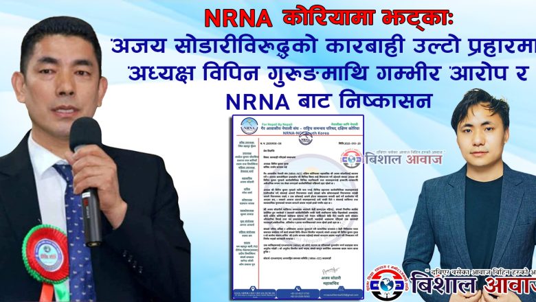 𝐍𝐑𝐍𝐀 कोरियामा झट्का : अजय सोडारीविरुद्धको कारबाही उल्टो प्रहारमा, अध्यक्ष विपिन गुरुङमाथि गम्भीर आरोप र 𝐍𝐑𝐍𝐀 बाट निष्कासन