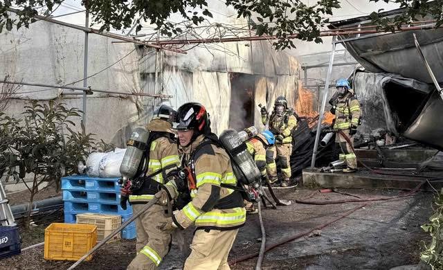 जेजुदोको गोदाममा आगलागी २० वर्षीया महिलाको ज्यान गयो